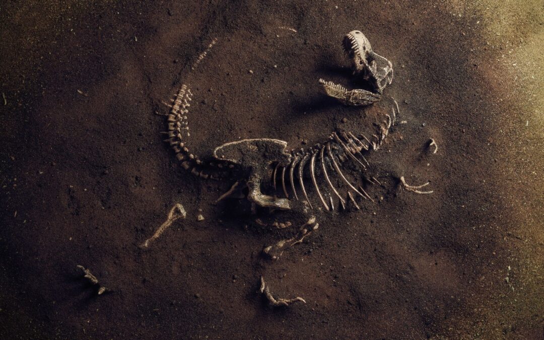 Vad dinosauriefossil kan lära oss om cancer